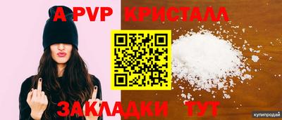 прущие крисы Будённовск