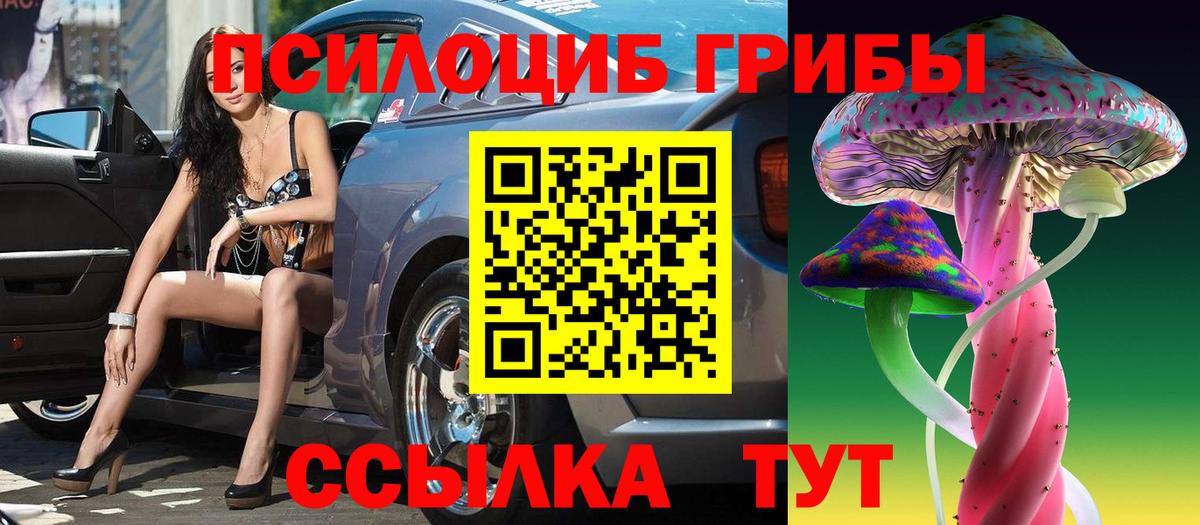 Псилоцибиновые грибы GOLDEN TEACHER  Галлюциногенные грибы Magic Shrooms  Вход с VPN  хочу наркоту  Кузнецк 