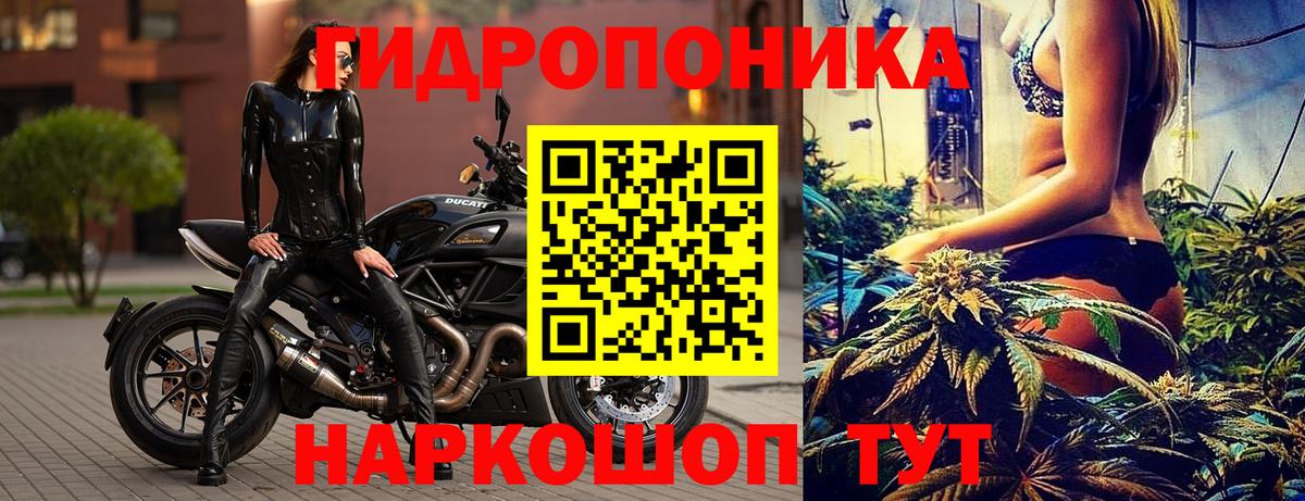 Марихуана ГИДРОПОН  Вход с VPN  Кузнецк  Каннабис сатива  Канабис семена  Канабис ГИДРОПОН 